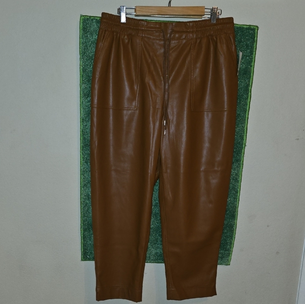 Womens Brown Leather Pants by a new day